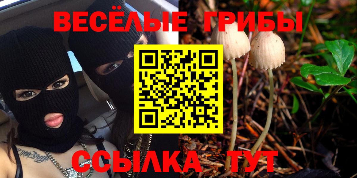 Псилоцибиновые грибы MAGIC MUSHROOMS Муром