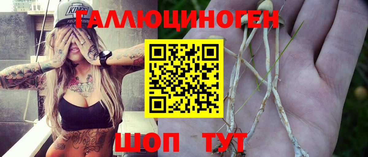 Псилоцибиновые грибы Psilocybe  Вход с VPN  Галлюциногенные грибы Psilocybine cubensis  Муром 